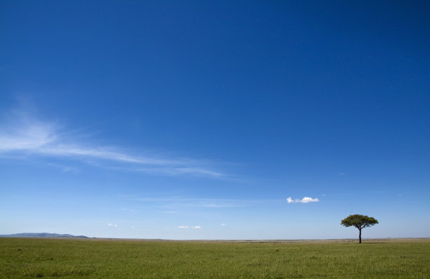 非洲景观图片下载