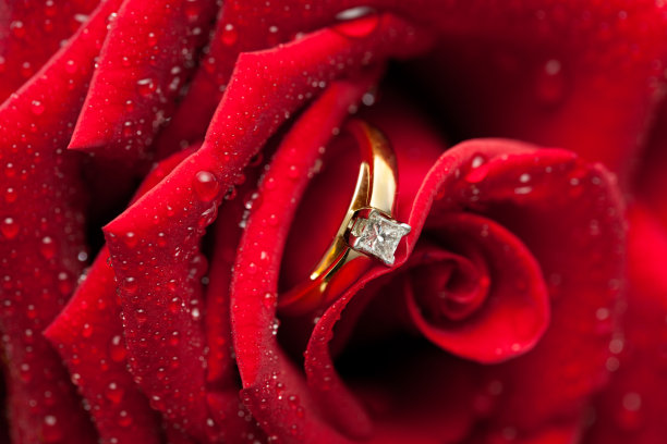 订婚钻戒内玫瑰图片下载