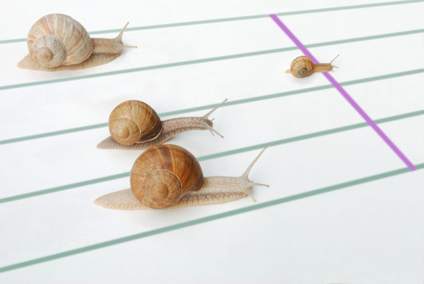 获胜者是小大卫图片下载