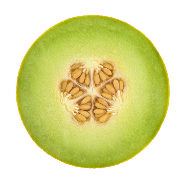 白色背景上的蜜瓜横截面素材图片