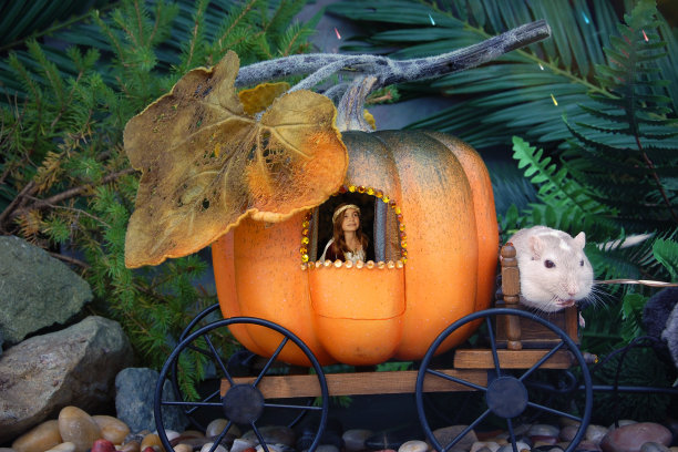 南瓜马车上的仙女公主图片下载