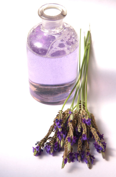 薰衣草沐浴液图片下载