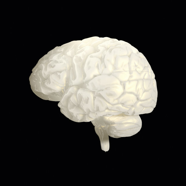 黑暗背景下的人类大脑图片下载