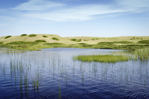 沙丘景观图片下载