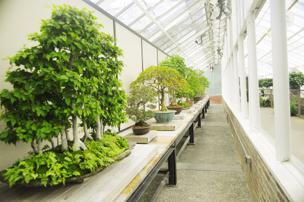 温室图片下载