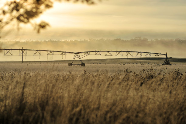 农业:作物灌溉图片下载