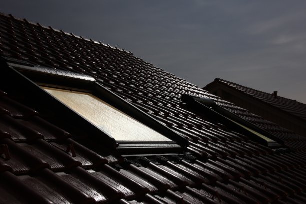 月光下的屋顶图片下载