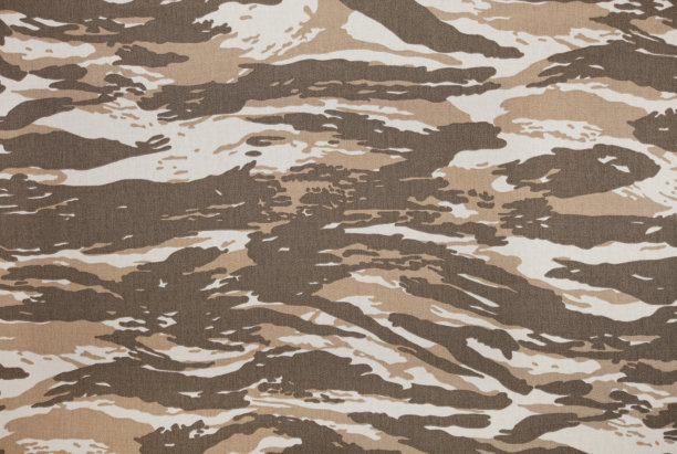 单调的伪装背景图片下载