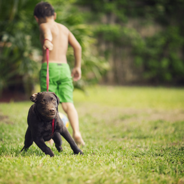 孩子拉着他的狗跑图片下载