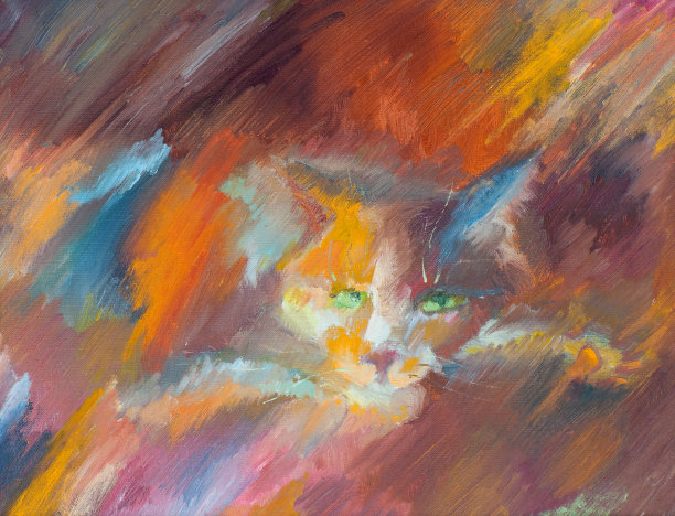 红色的猫图片下载