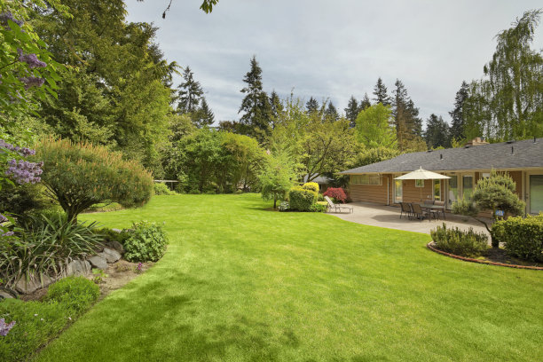 广阔的后院图片下载