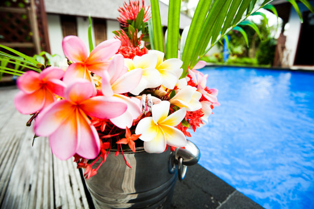 婚礼花束图片下载