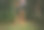后院板球素材图片