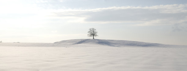 雪地图片素材ID：148625524