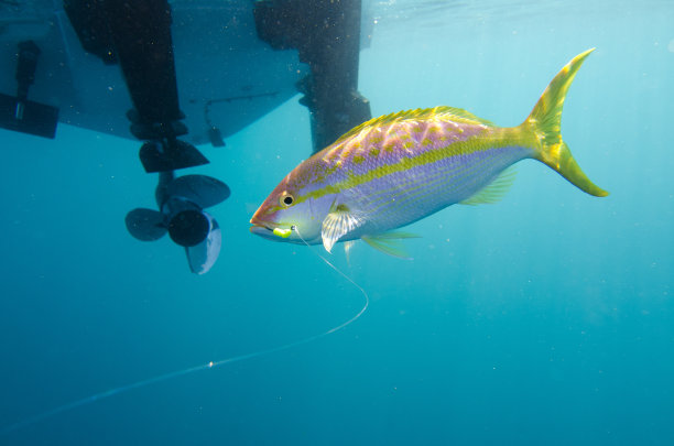 钓鱼的地方图片下载