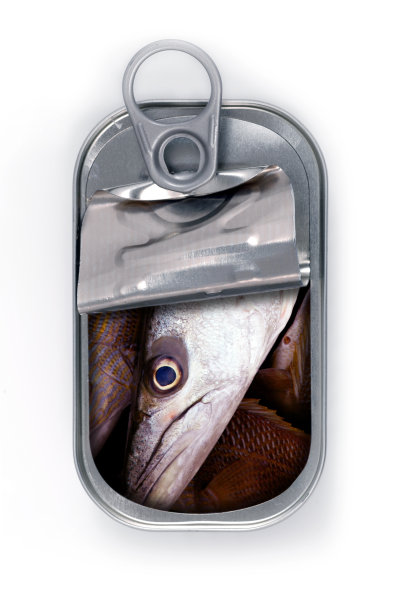 巨大的沙丁鱼图片下载