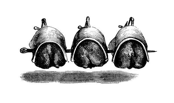 烤鸡|古董烹饪插图图片下载