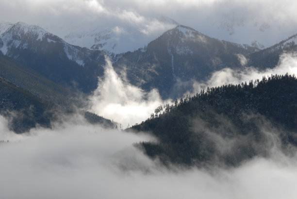 奥林匹克国家公园图片下载