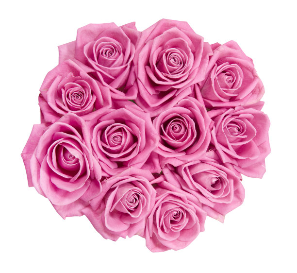 一束粉红色的玫瑰图片下载