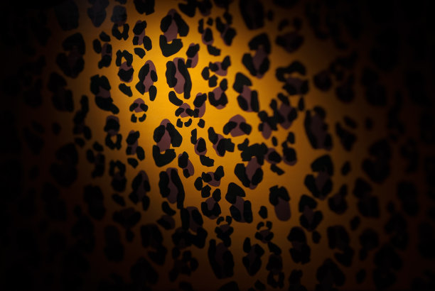 豹纹的背景图片下载