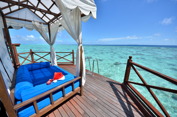 热带圣诞假期图片下载