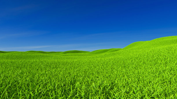 宁静的丘陵春季草甸图片下载