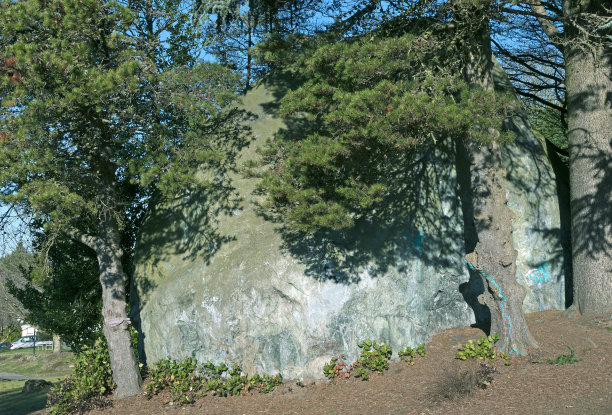 西雅图附近的冰川巨石图片下载