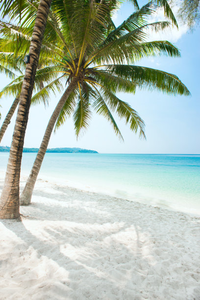 海边图片素材ID：148733494