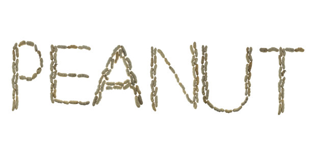 字母花生由白色的花生制成图片下载