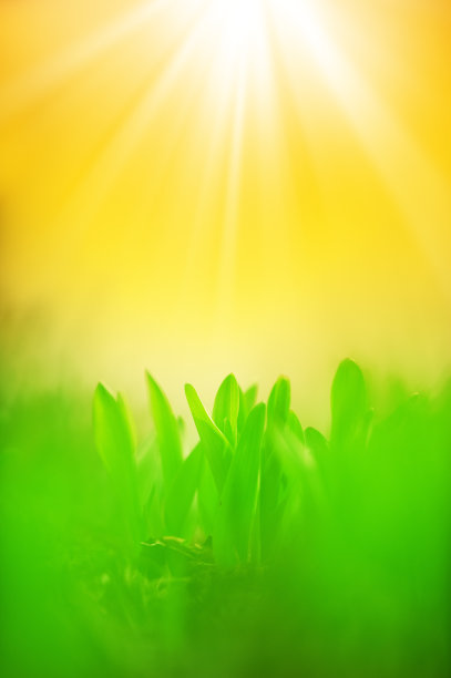 新生活图片下载