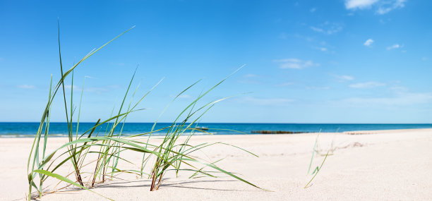 沙丘全景图片下载