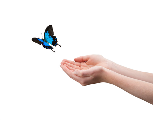 是免费的图片下载