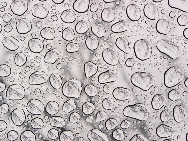 雨点落在窗前，树在倒影图片下载