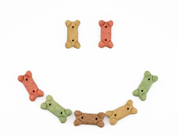 快乐的狗对待图片下载