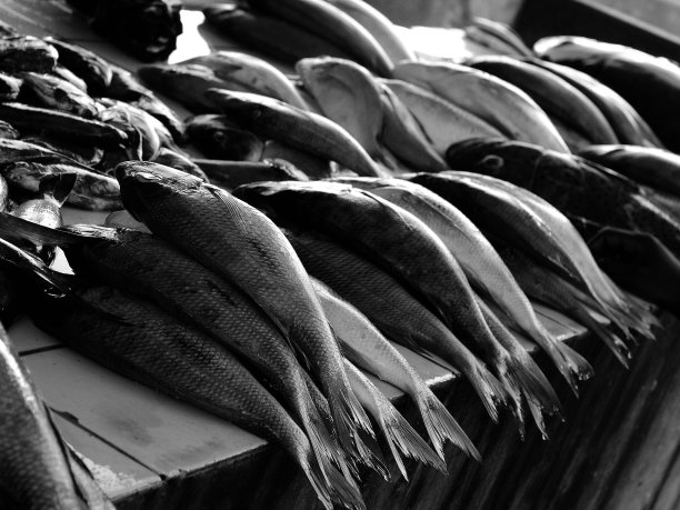 鱼市场图片下载