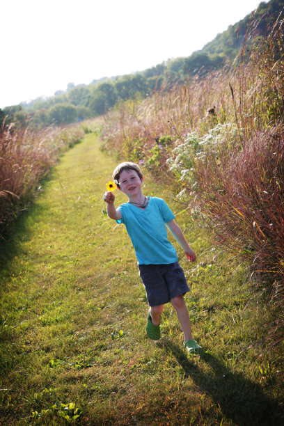 把一朵花图片下载