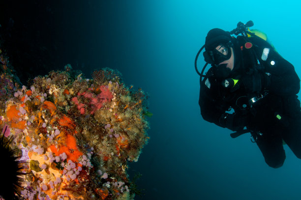 潜水员和礁石图片下载