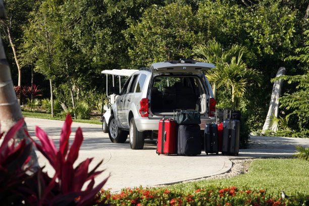 要回家了图片下载