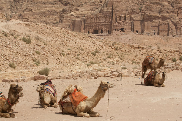 佩特拉图片下载