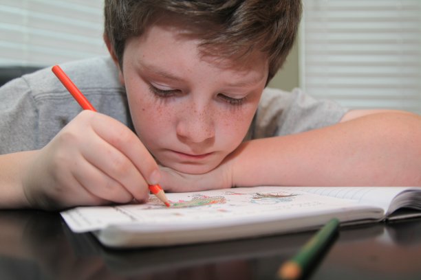 专注于作业图片下载