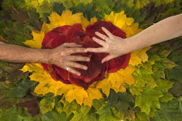 手放在一堆叶子上。图片下载