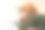 一个天真的小男孩从窗户往外偷看图片下载