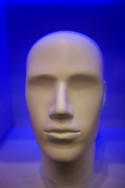 男性人体模型的头图片下载