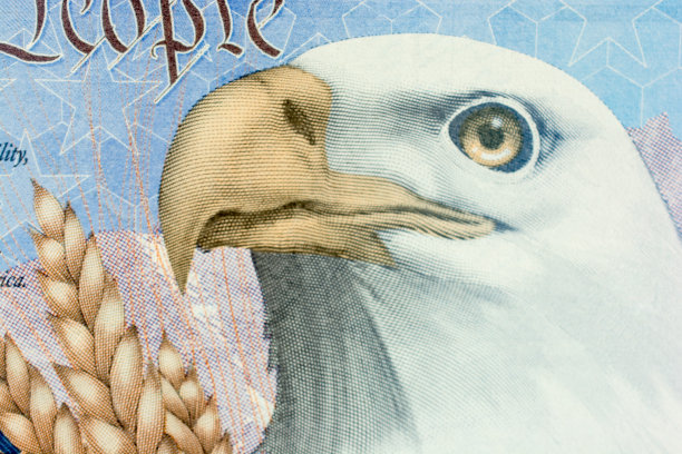 美国现行护照，内页有鹰徽图片下载