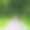 马里因斯基公园图片下载