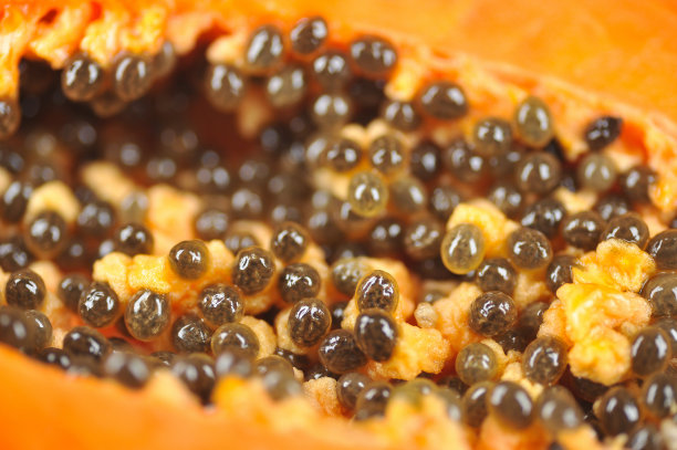 木瓜宏观特写图片下载