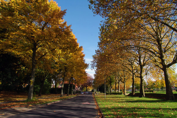 秋天在十月温暖的一天图片下载