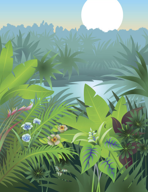 丛林的梦想图片下载