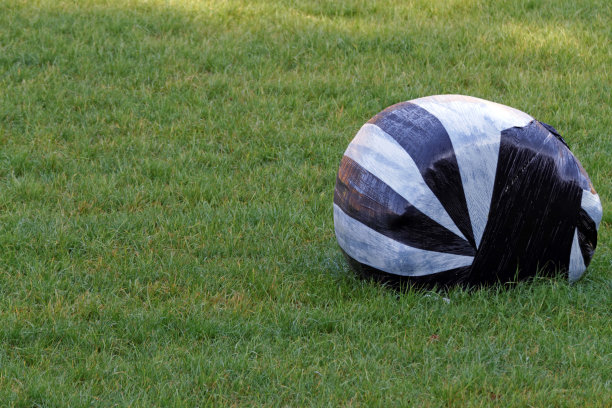 用干草捆图片下载