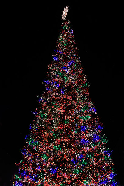 彩灯圣诞树(XXXL)图片下载